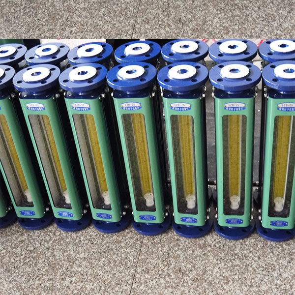 LZB Cast Iron case glass tube flow meter flange connection