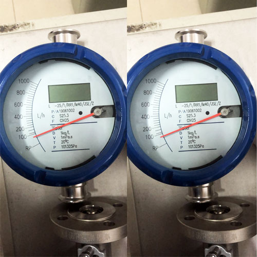 DH250-D EXD Explosion proof type Metal Tube Flow Meter